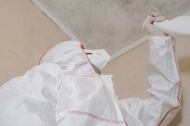 Best Crawl Space Mold Removal  in Brimfield, OH