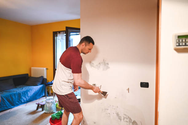 Best Residential Mold Removal  in Brimfield, OH